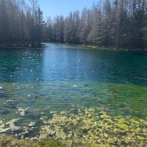 Meet your Posher, Zulema